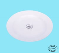 صحن مسطح خفيف مقاس23.8سم