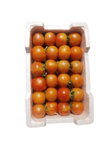 طماطم حبه وسط فلين كبير