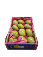 مانجو مصري كرتون