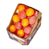 برتقال مصري كرتون