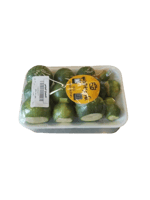 هدد مقطع صحن