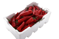 فلفل حار حلو احمر فلين كبير