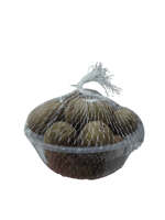 كيوي مطعم منجاوي علبة