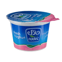 زبادي نادك خالي الدسم 170غ