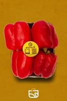 فلفل بارد احمر صحن