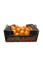 فندي تركي كرتون