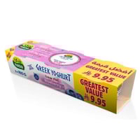 زبادي يوناني توت ازرق قليل الدسم شده ندى