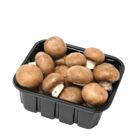 فطر بني عماني علبة