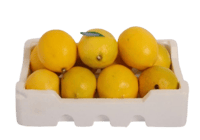 ليمون أفريقي فلين ربع