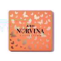 مجموعة ظلال العيون نورفينا برو بغيمنت 1 من انستازي...