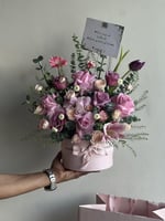 احلى عرض " هانوفريان "