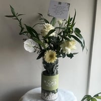 فازه البامبو