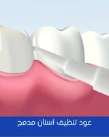 فرشاة ومعجون مع خيط تنظيف الاسنان 24 حبة