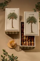 صقعي عبوة نخلة