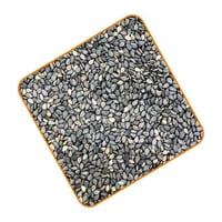 سمسم اسود عضوي فرنسي