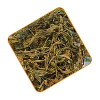 عشبة الهندباء