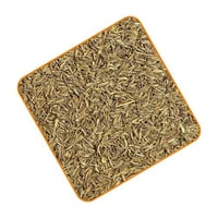 كمون سوري حب