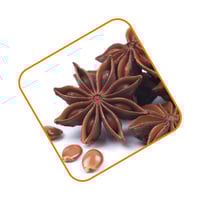 يانسون نجمي