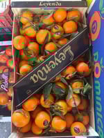 افندي اسباني كرتون 8 كيلو