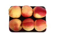 تفاح سكري كيلو