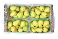 كمثري اسباني - كرتون 4 حبات