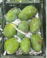 مانجو زبده - كرتون 3كيلو