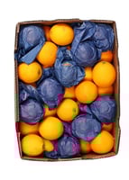 برتقال عصير مصري كرتون 13.5كيلو