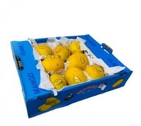 كرتون مانجو سكري -2 كيلو