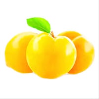 بخارى اصفر افريقي