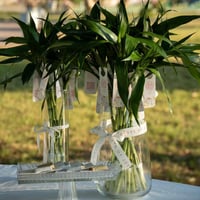 توزيعات العيد ( ساق البامبو ) - فازة كبيرة