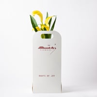 زهرة الكالا ( Calla Lily ) - أصفر