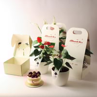 بكج هدية التخرج