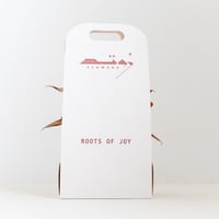 أجلونيما (Aglaonema )