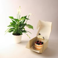 بكج هدية التخرج