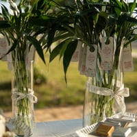 توزيعات العيد ( ساق البامبو ) - صغير