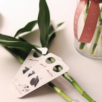 توزيعات تخرج ( ساق البامبو ) فازة وسط