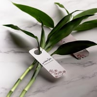 توزيعات يوم المعلم ( شكرًا معلمتي )