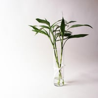 فازة ساق البامبو ( Bamboo ) - صغيرة