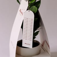 فواصل قرآنية