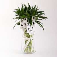 توزيعات تخرج ( ساق البامبو ) فازة كبيرة