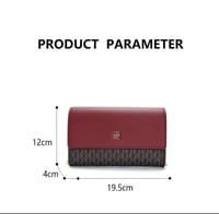 شنط سي اتش صغيرة عنابي