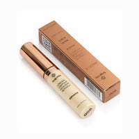 كونسيلر انجليك 4 في 1 قولدن الموند من بوغينيا BG62...