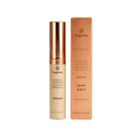 كونسيلر انجليك 4 في 1 قولدن الموند من بوغينيا BG62...