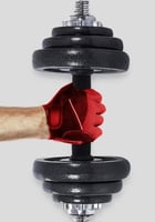 الدنابل المتعددة بحلقة للبار 20 كج