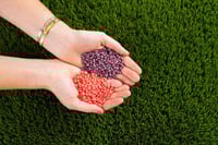 نيردز حلوى بنكهة العنب والفراولة 46.7 جم | Nerds C...