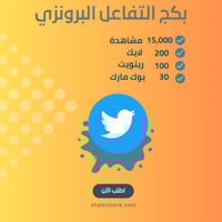 البكج البرونزي