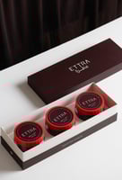 باقة الشتاء