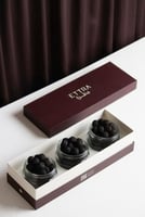 باقة الشتاء