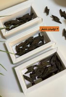 عودة تايقر فيتنامي