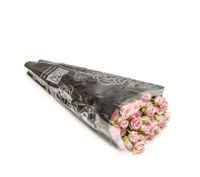 بيبي روز موف 10 أغصان طبيعي